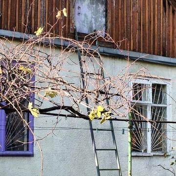 Продам  дом Слободка/ свой двор без заезда