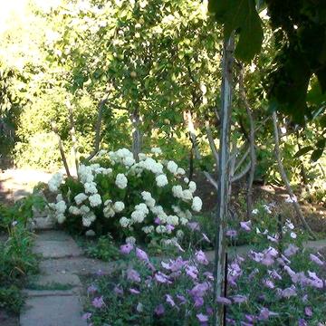 Сдам дом Слободка