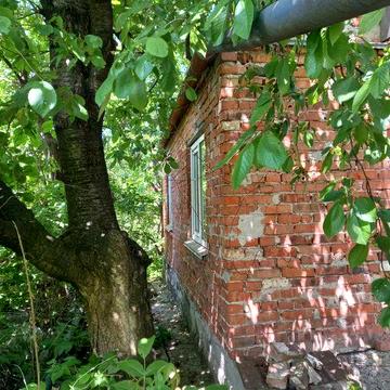 Продам дачний будинок в Дубово