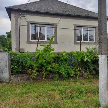 Будинок в селі Великі Лучки