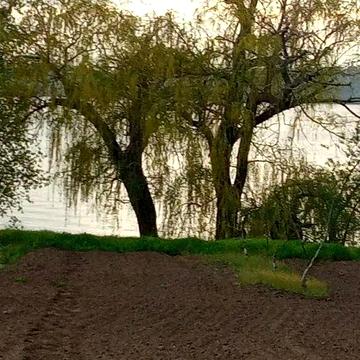 Будинок з власним берегом Дніпра