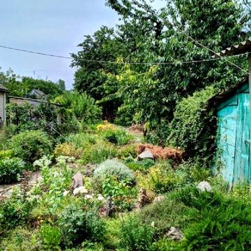 Проценка вул.