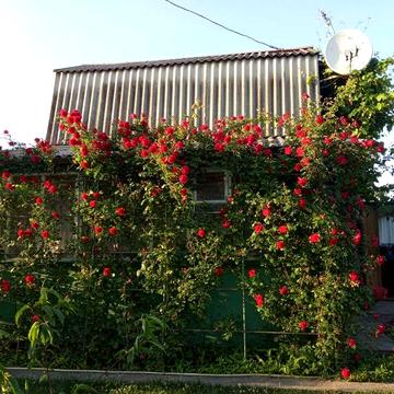 Дача в «Сергіївське-2», Кривий Ріг • 6 соток • Будинок 35 м²