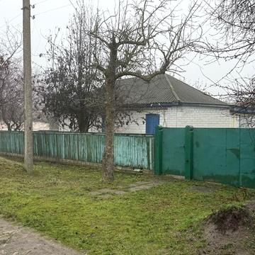 Будинок в жилому стані, Худяки