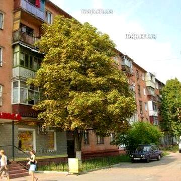 Смарт- квартира. Круг. Вокзал. Привокзальний.