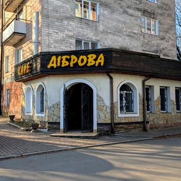 Василя Червонія вул. (Гагаріна), 45