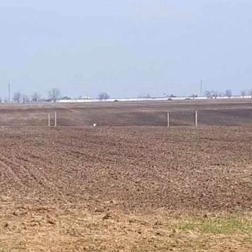 Высоцкого проспект