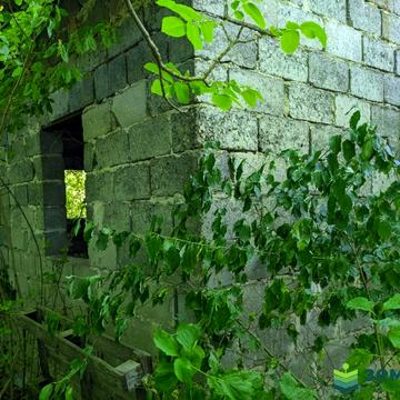 Клузів, Івано-Франківський, Івано-Франківська область 6000.0 USD