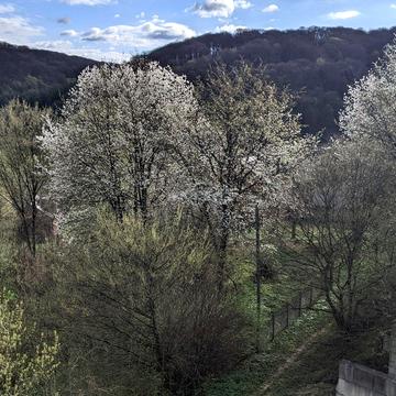 Бірки, Яворівський, Львівська область 33000.0 UAH