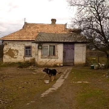Продам дачу 75 соток с.Кринички Софиевський р-н Днепр обл