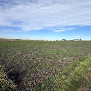 Артищівська вул.