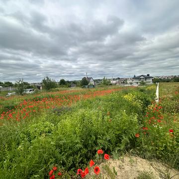 І. Підкови, 13