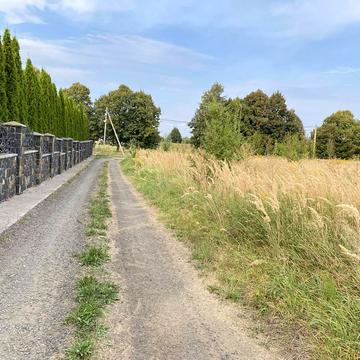 Фальківська