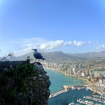 Зимняя аренда апартаментов в Кальпе, Коста Бланка