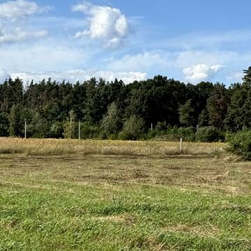 Михайлівка-Рубежівка, Бучанський, Київська область 125000.0 USD