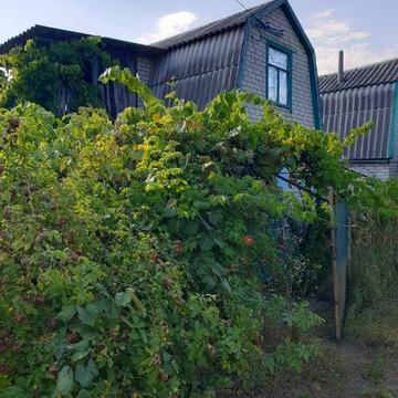 Продаж будинок /дача