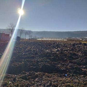 Продам стареньку хатину (участок під забудову))