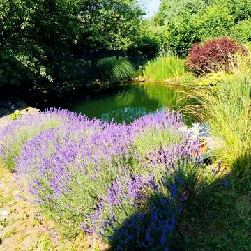 Ужгородська вул.