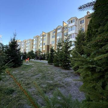 Однокімнатна в готовому будинку! Газ! Можна на ремонт!