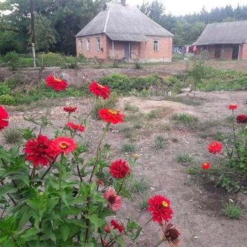 Продається будинок