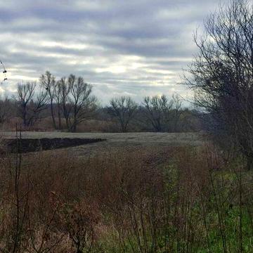 Продаж будинку в с. Мирівка, Обухівський район