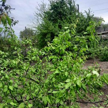 Здам в оренду пол дома