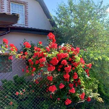 Продаж 3к Дім Далека вулиця