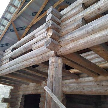 Дикий зруб у Карпатах — свій куточок у горах