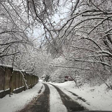 Верхнє Синьовидне, Стрийський, Львівська область 45000.0 USD