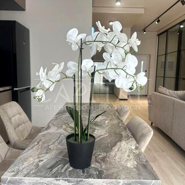 Центральна вул.