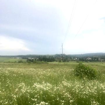 Соколя, Золочівський, Львівська область 30000.0 USD