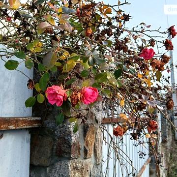 Продаж 4к Дім Богдана Хмельницького вулиця