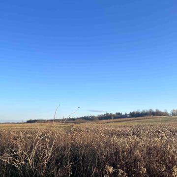 Гряда, Львівський, Львівська область 7500.0 USD