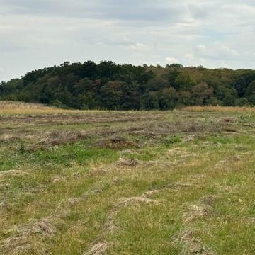 Бохоники, Вінницький, Вінницька область 16500.0 USD