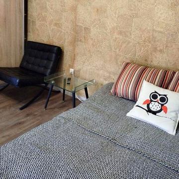 Сдам 1к 7000 Екатерининская/Бунина ( агв независимо от света )