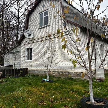Будинок 2 км від Білоі Церкви вул Гайок з гарною дорогою