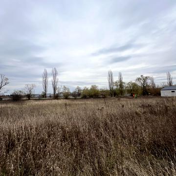 Миколи Сингаївського вул. (Ново-Оскольська)