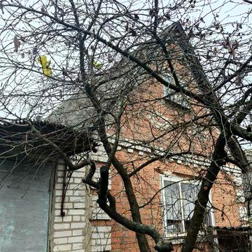 Продам дачу в кооперативі "Красносільський"