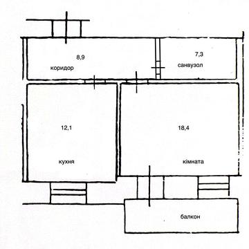 Видова велика 1м квартира в центрі Києва