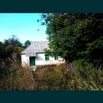 село Туники  (два подвіря)