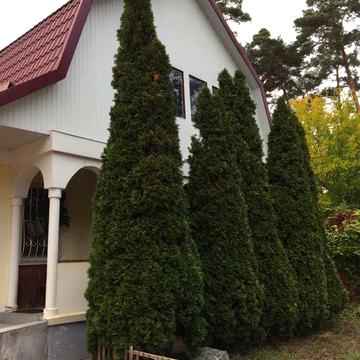 Здам в оренду Будинок в Бучі