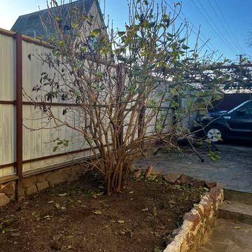 Продам дом. Броварський р-н/дачний кооператив Академсади