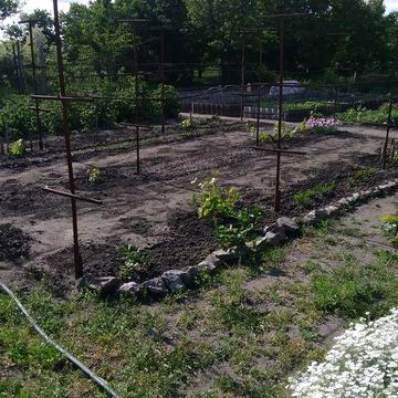 Продам дачу. На берегу р. Волчья. Павлоградский район.