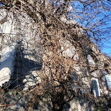 Энергонезалежний будинок з пiдвалом. Три вида опалення.