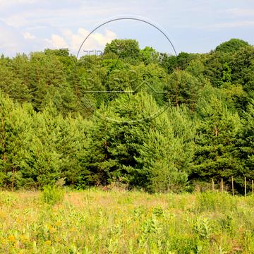 Горбовичі, Бучанський, Київська область 12000.0 USD