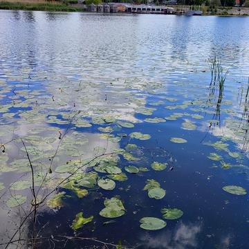 Набережна, 20