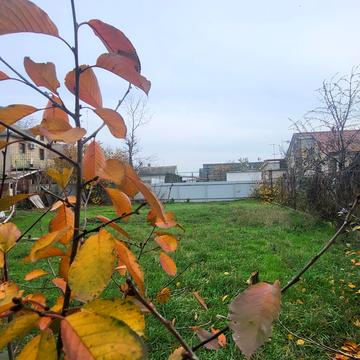 Панаса Мирного вул.