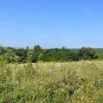 Кудринці, Камянець-подільський, Хмельницька область 6000.0 USD