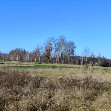 Жукин, Вишгородський, Київська область 4990.0 USD