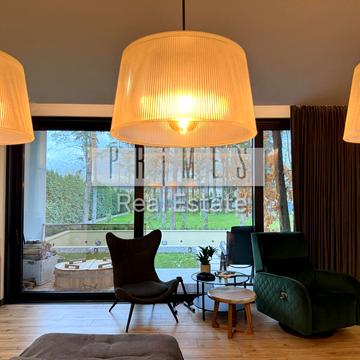 Василя Лісового